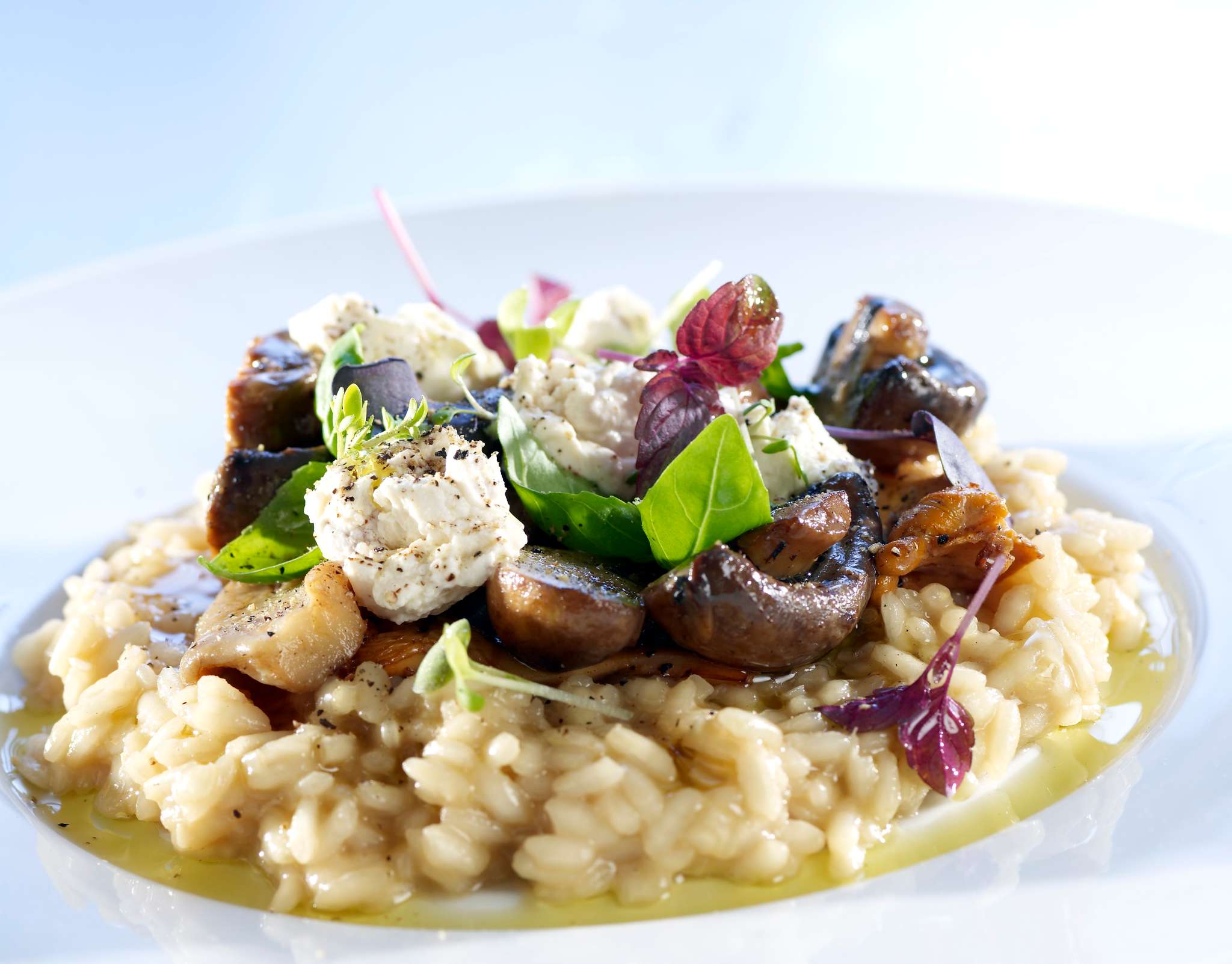 Pollo con gnocchi