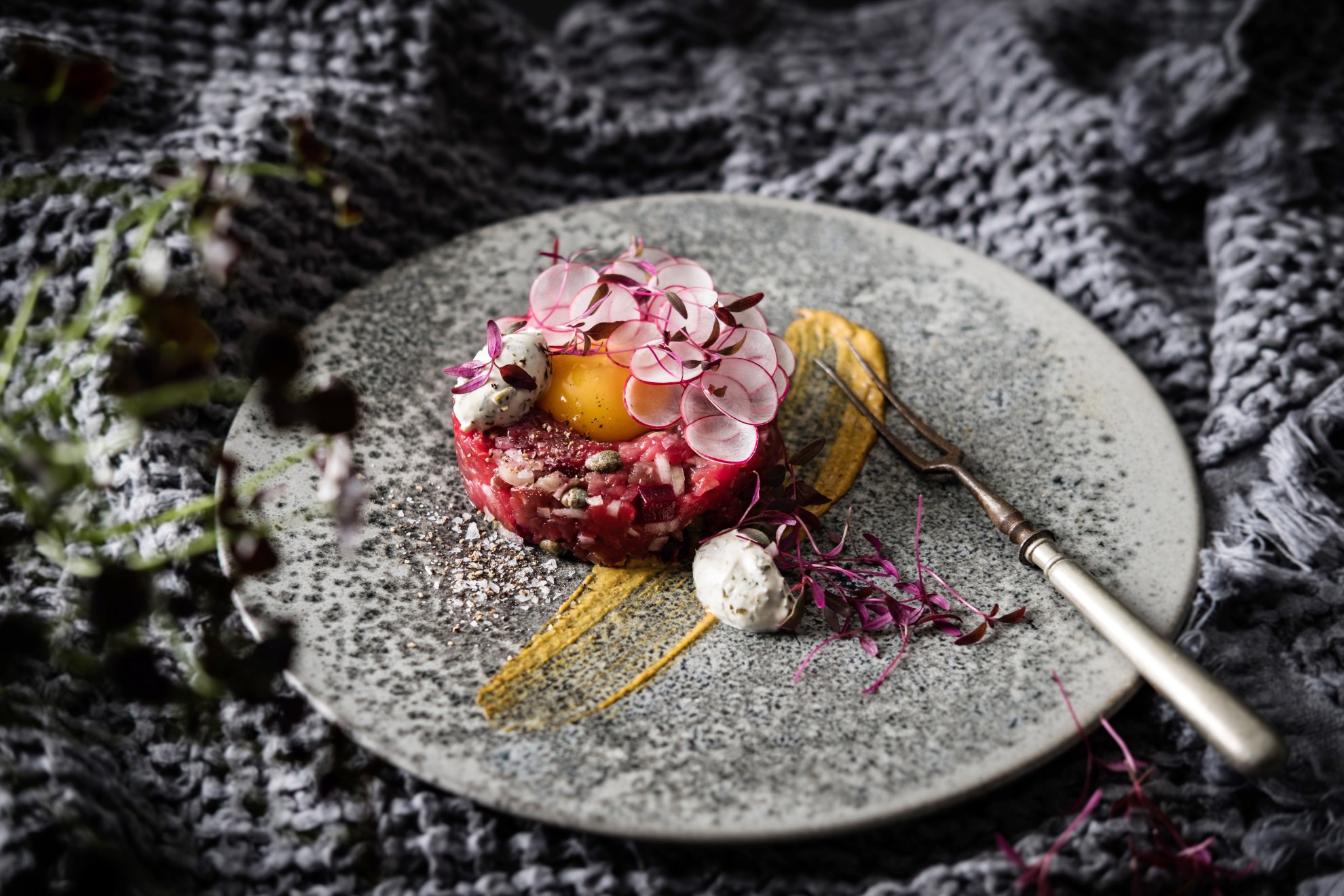 Tartare de bœuf à la crème de Snøfrisk® - Canada (French)