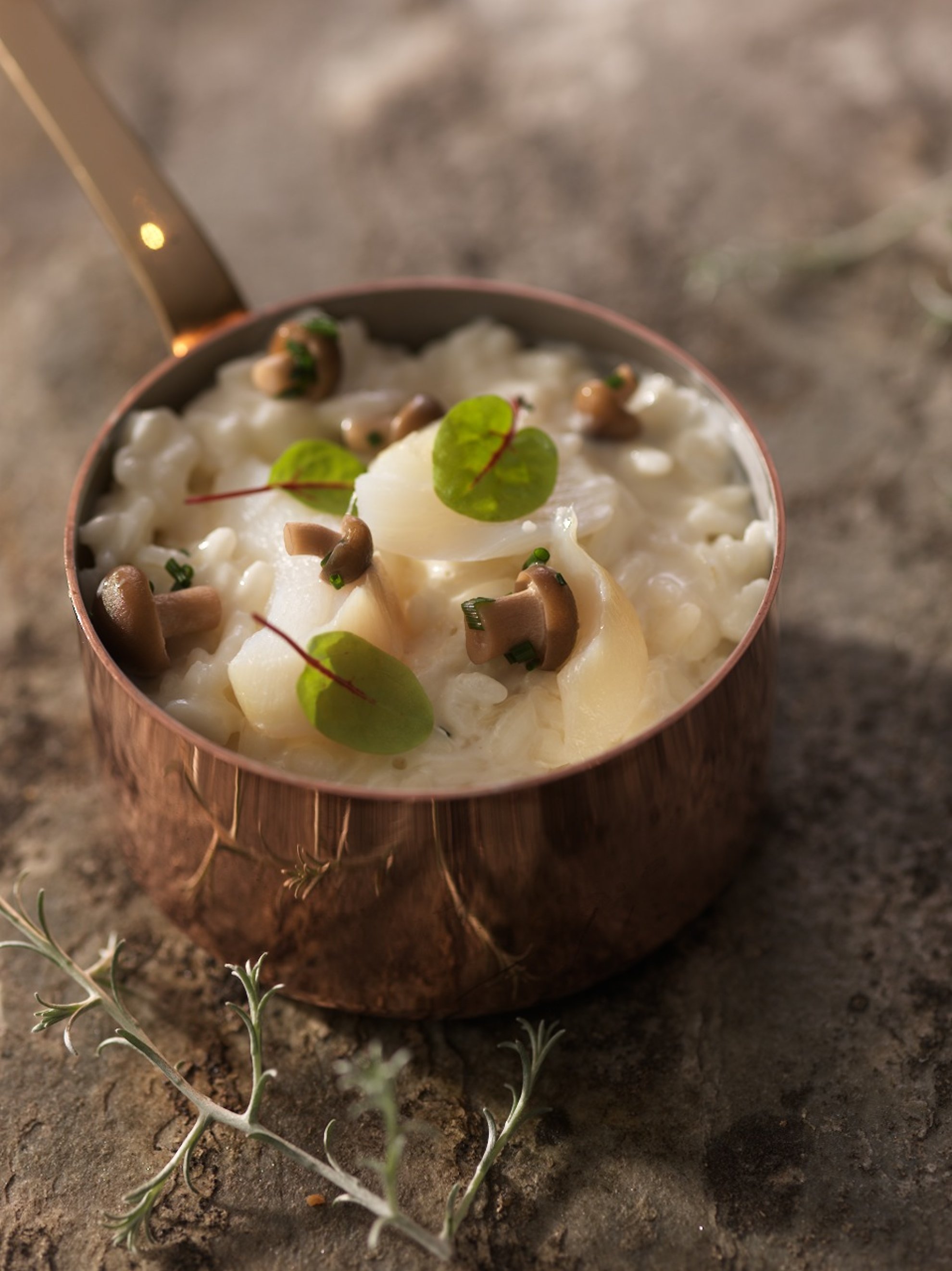 Snøfrisk Risotto